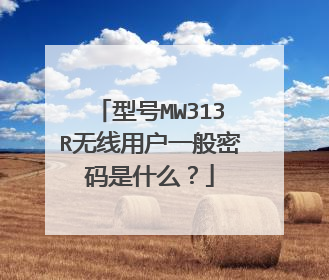 型号MW313R无线用户一般密码是什么？
