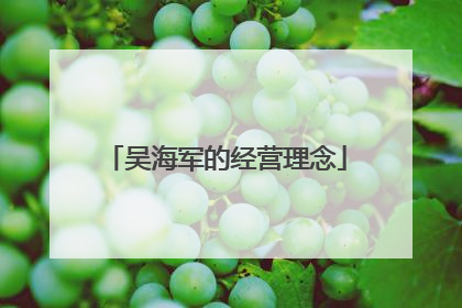 吴海军的经营理念
