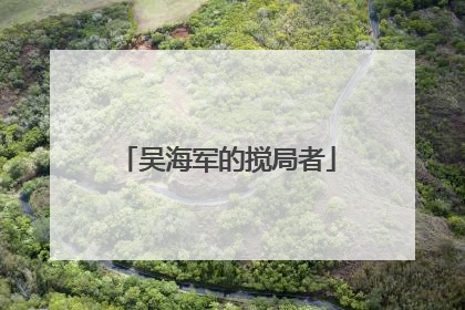 吴海军的搅局者