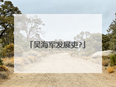 吴海军发展吏?