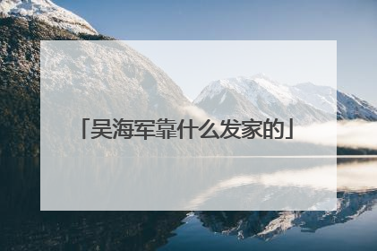 吴海军靠什么发家的