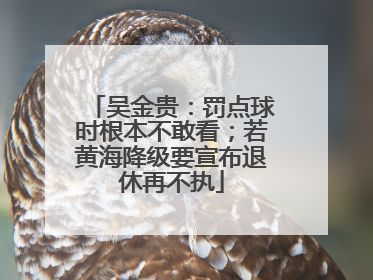 吴金贵：罚点球时根本不敢看；若黄海降级要宣布退休再不执