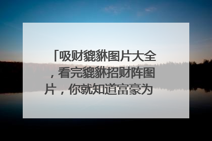 吸财貔貅图片大全,看完貔貅招财阵图片,你就知道富豪为什么只爱它了