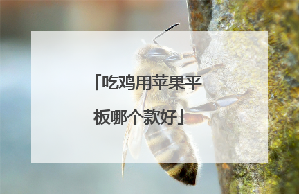 吃鸡用苹果平板哪个款好