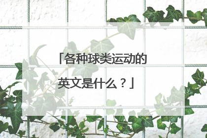 各种球类运动的英文是什么？