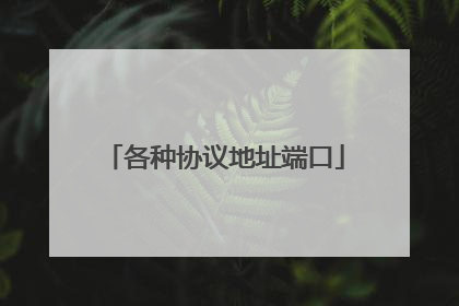 各种协议地址端口