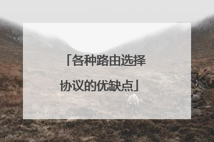 各种路由选择协议的优缺点