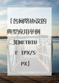 各网络协议的典型应用举例 如NETBIUE IPX/SPX