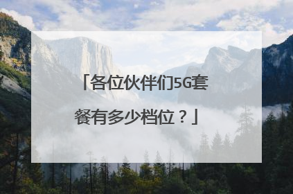 各位伙伴们5G套餐有多少档位?