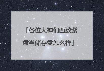 各位大神们西数紫盘当储存盘怎么样