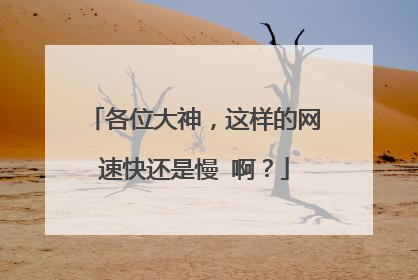 各位大神，这样的网速快还是慢 啊？