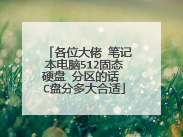 各位大佬 笔记本电脑512固态硬盘 分区的话 C盘分多大合适