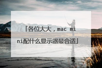 各位大大，mac mini配什么显示器最合适