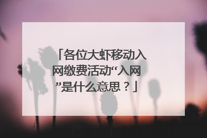 各位大虾移动入网缴费活动“入网”是什么意思?
