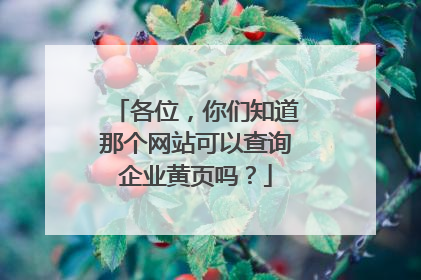 各位，你们知道那个网站可以查询企业黄页吗？