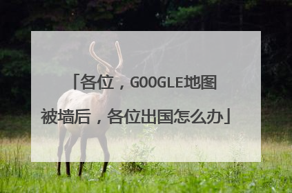 各位,GOOGLE地图被墙后,各位出国怎么办