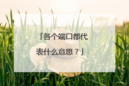 各个端口都代表什么意思?