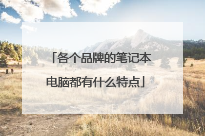 各个品牌的笔记本电脑都有什么特点