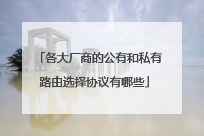 各大厂商的公有和私有路由选择协议有哪些