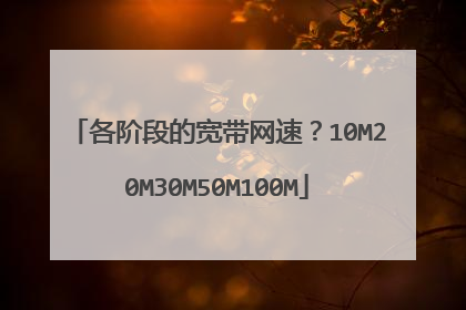 各阶段的宽带网速?10M20M30M50M100M