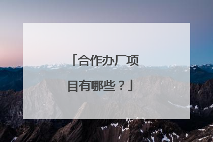 合作办厂项目有哪些?