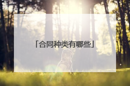 合同种类有哪些