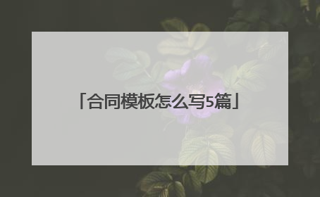 合同模板怎么写5篇