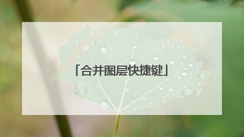 合并图层快捷键