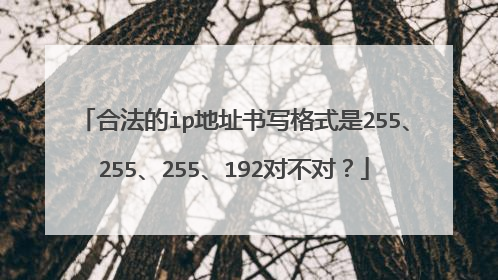 合法的ip地址书写格式是255、255、255、192对不对?
