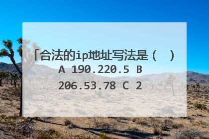合法的ip地址写法是（ ） A 190.220.5 B 206.53.78 C 206.53.312.78 D 123,43.82.220 IP地址的正确写法