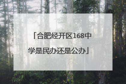 合肥经开区l68中学是民办还是公办