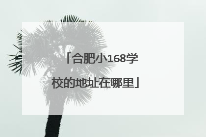 合肥小168学校的地址在哪里