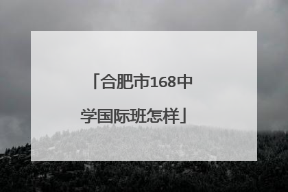 合肥市168中学国际班怎样