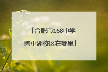 合肥市168中学陶中湖校区在哪里