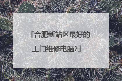合肥新站区最好的上门维修电脑?