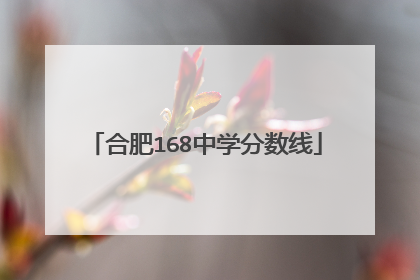 合肥168中学分数线