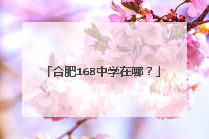 合肥168中学在哪？