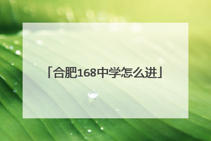 合肥168中学怎么进