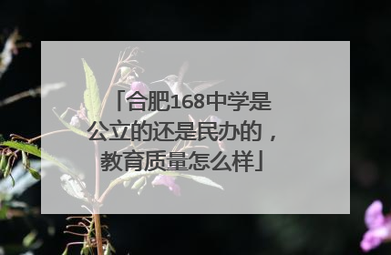 合肥168中学是公立的还是民办的，教育质量怎么样