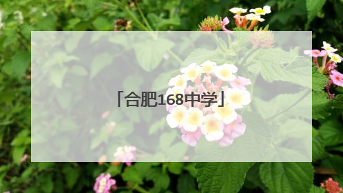 合肥168中学