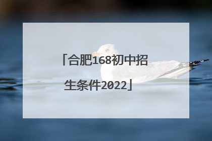 合肥168初中招生条件2022