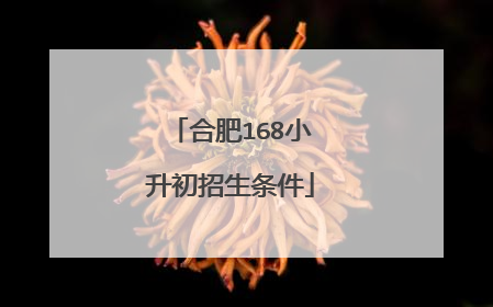 合肥168小升初招生条件