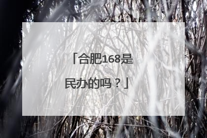 合肥168是民办的吗？