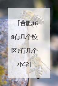 合肥168有几个校区?有几个小学
