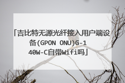 吉比特无源光纤接入用户端设备(GPON ONU)G-140W-C自带Wifi吗