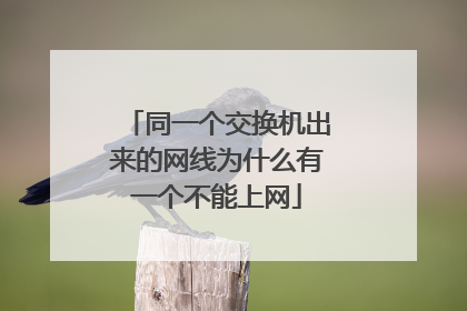同一个交换机出来的网线为什么有一个不能上网