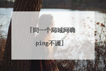 同一个局域网确ping不通
