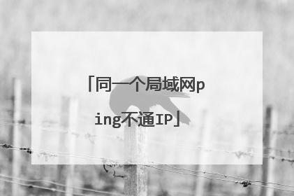 同一个局域网ping不通IP