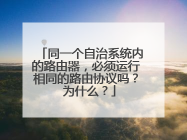 同一个自治系统内的路由器，必须运行相同的路由协议吗？ 为什么？