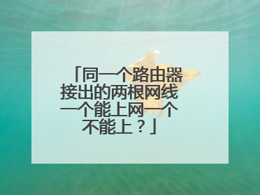 同一个路由器接出的两根网线一个能上网一个不能上？